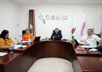 Pleno de CEAIP expresa su respaldo al INAI como organismo garante de la transparencia en México