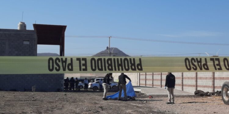 Hallan asesinado a un adulto mayor en un taller de muelles