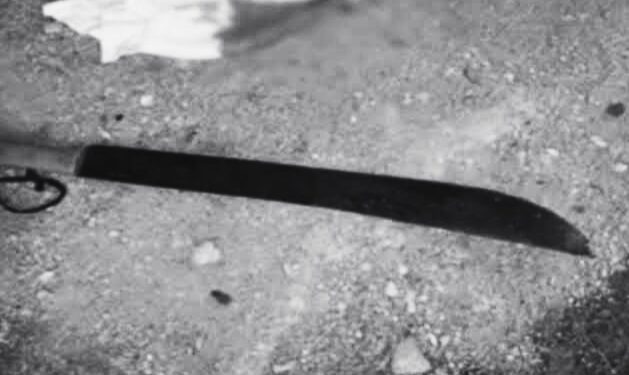 Mato a su tío a machetazos y ahora deberá pasar 22 años en una prisión