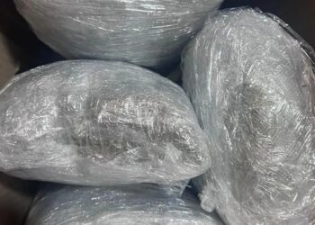 En cubetas de mole rojo hallan paquetes de marihuana en Mazatlán