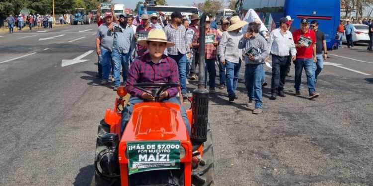 ¡No menos de 7 mil! Gritan agricultores para exigir un precio justo a la tonelada de maíz previo al arribo de AMLO