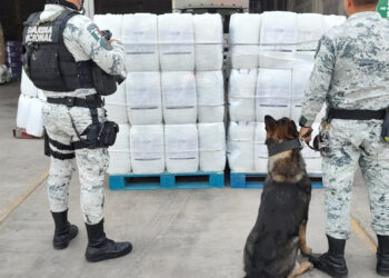 Asegura GN bidones con 800 litros de aparente metanfetamina líquida en Culiacán