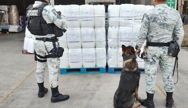 Asegura GN bidones con 800 litros de aparente metanfetamina líquida en Culiacán