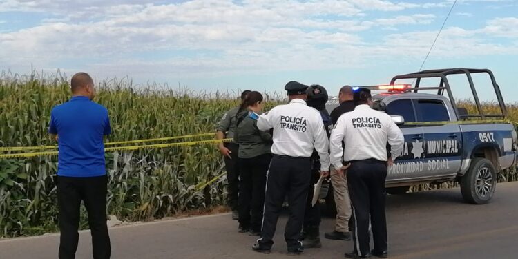 Motociclista fallece al chocar contra un poste de la CFE en Navolato