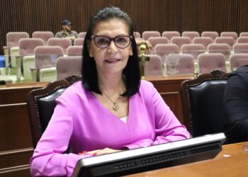 El Plan B iba en contra de la democracia de México: PAN