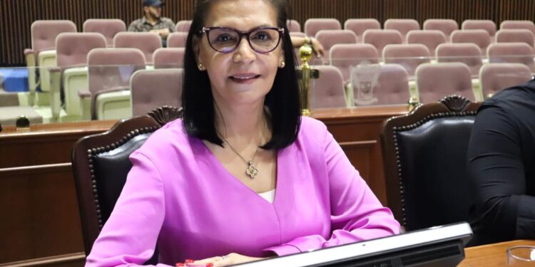 El Plan B iba en contra de la democracia de México: PAN