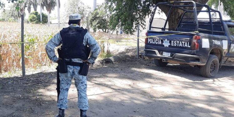 Hallan asesinado a minusvalido en Navolato