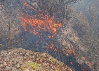SEBIDES pide denunciar quema clandestina de predios para evitar incendios forestales