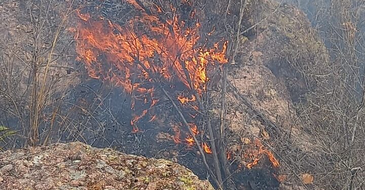SEBIDES pide denunciar quema clandestina de predios para evitar incendios forestales