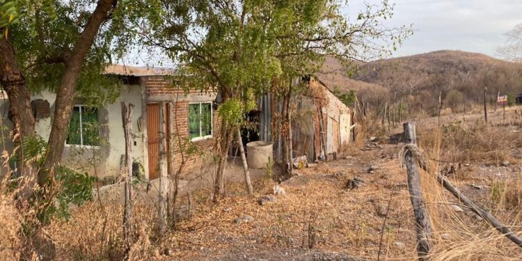 Sinaloa requiere estrategias más profundas ante pronóstico de escasez de agua: García Páez