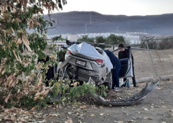Destruye su auto al chocar contra un árbol y sólo resulta con golpes y lesiones leves