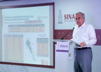 Avanza el mecanismo de comercialización del maíz en un 72%