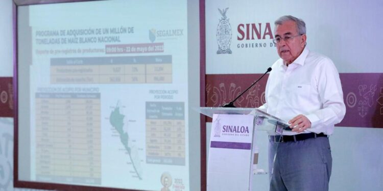 Avanza el mecanismo de comercialización del maíz en un 72%