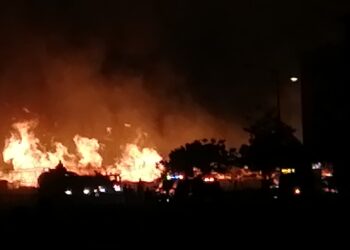 Se quema fábrica de tarimas de madera en Alturas del Sur hoy en la madrugada