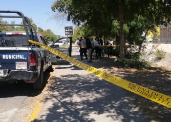 Hallan osamenta humana frente a la Facultad de Enfermería