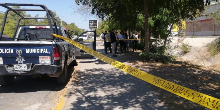 Hallan osamenta humana frente a la Facultad de Enfermería