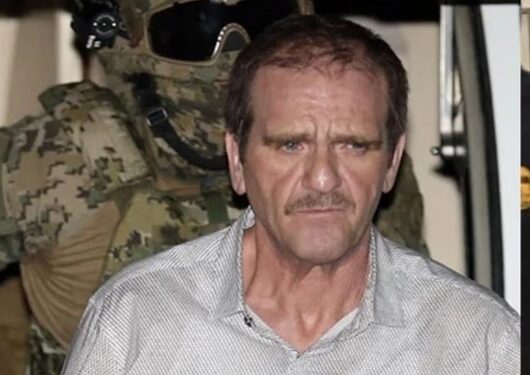 Acusan a “El Güero” Palma por homicidio de Juan Pablo de Tavira