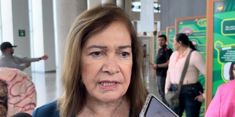 Presunto feminicida de Maricarmen no respetó orden de restricción: Sara Bruna