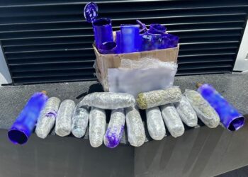 Narcos de Chihuahua intentaban enviar mariguana en botellas de shampoo a Carolina del Norte