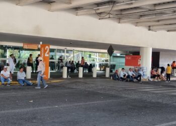 Se pagará a los productores agrícolas: Segalmex