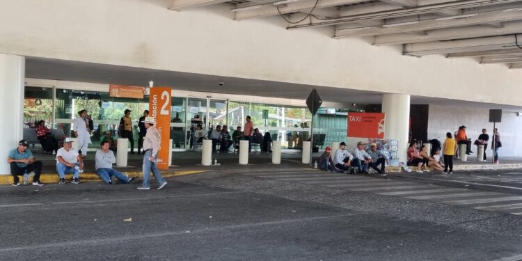 Se pagará a los productores agrícolas: Segalmex