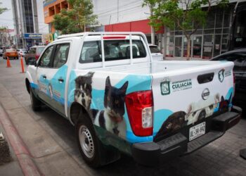 Entregan unidad móvil al Grupo Especializado en la Protección de Animales de Culiacán