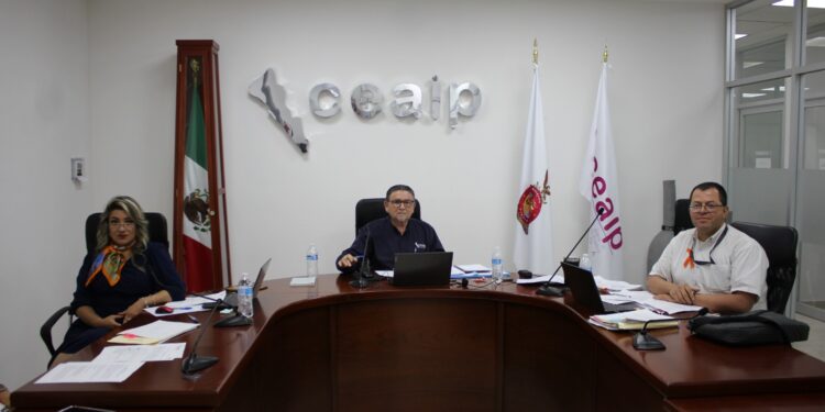 Ceaip amonesta al PAN, a la Junta de Agua de San Ignacio y al Sindicato de Concordia por incumplir Obligaciones de Transparencia