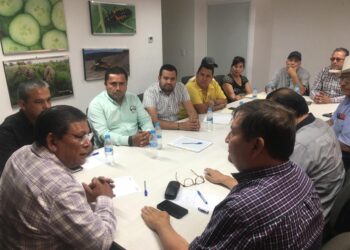 Garantizada la compra de 2 millones de toneladas de maíz de la cosecha Otoño-invierno 2022-2023: SAYG