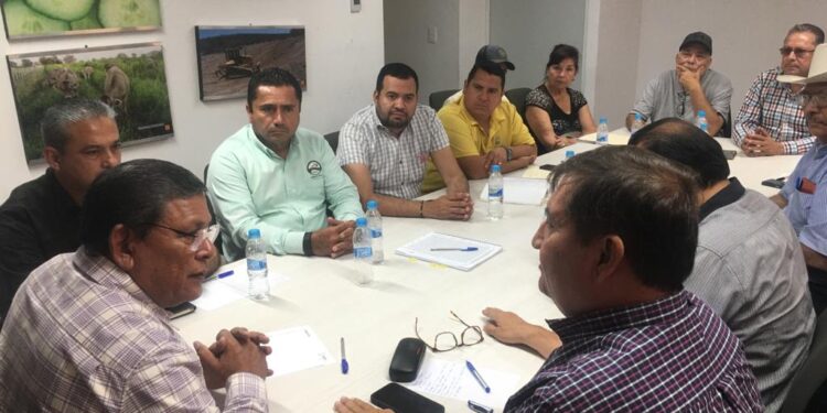 Garantizada la compra de 2 millones de toneladas de maíz de la cosecha Otoño-invierno 2022-2023: SAYG