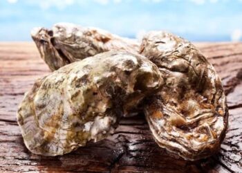 Declaran veda sanitaria en la Bahía de Altata Norte por Marea Roja