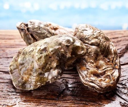 Declaran veda sanitaria en la Bahía de Altata Norte por Marea Roja