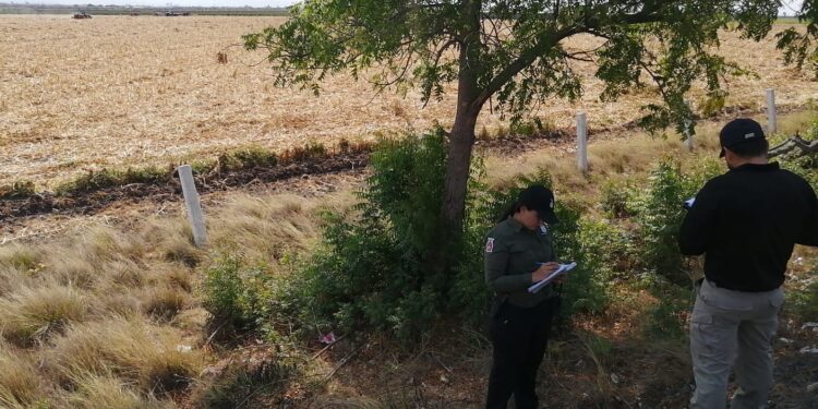 Localizan una osamenta humana en Costa Rica