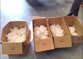 Guardia Nacional, Ejército y FGR aseguran 400 kg de droga en Baja California