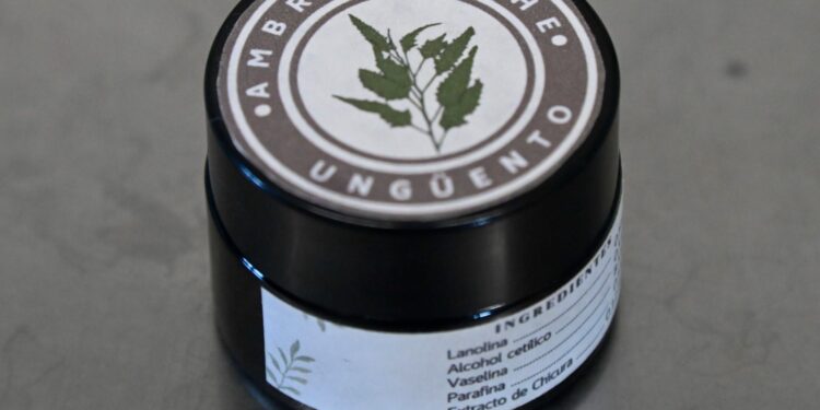 Estudiantes de Biomedicina de la UAS desarrollan un ungüento para las infecciones en la piel