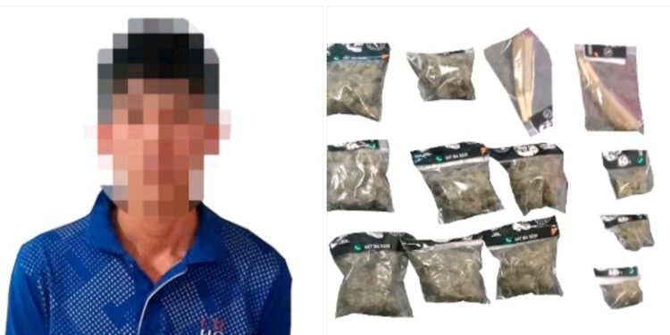 Policías aseguran a joven en posesión de presunta mariguana