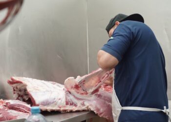 Economía impulsa a más negocios con servicios empresariales