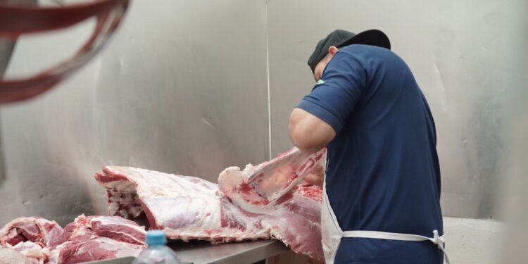 Economía impulsa a más negocios con servicios empresariales