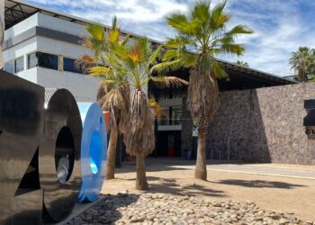 Harán cursos de verano en el Zoológico de Culiacán