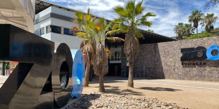 Harán cursos de verano en el Zoológico de Culiacán