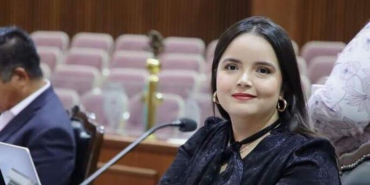Diputada  del PRI propone reducir la edad para que jóvenes puedan ser legisladores