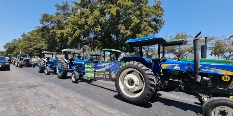 Agricultores se plantan con tractores en Palacio de Gobierno para exigir el pago de sus cosechas