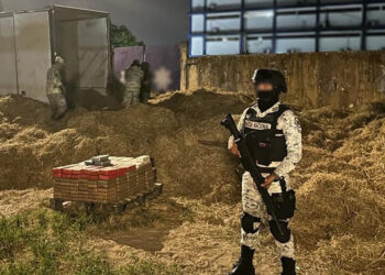 En Veracruz, Guardia Nacional asegura 240 paquetes de cocaína