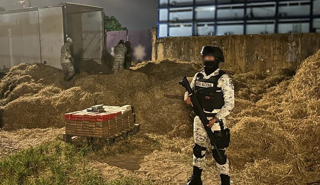 En Veracruz, Guardia Nacional asegura 240 paquetes de cocaína