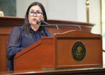 Diputada exhorta a Ayuntamientos a aplicar sanciones en casos de Maltrato Animal
