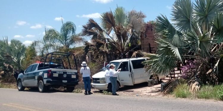 Sabuesos Guerreras hallan restos humanos en Tepuche