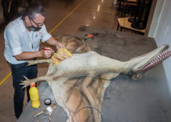 Reciben pago retroactivo de aumento salarial del 8.5 % las y los trabajadores de CONFÍE