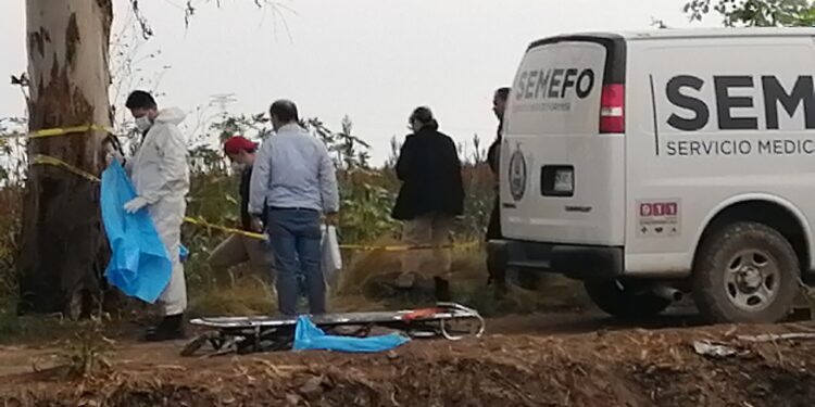 Hallan a un hombre asesinado a espaldas del Aeropuerto Internacional de Culiacán