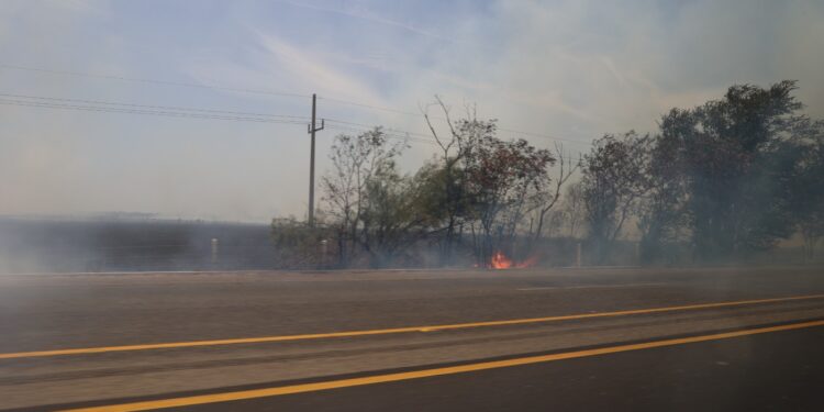 Llama SEBIDES a aplicar la Ley en materia de quema de soca