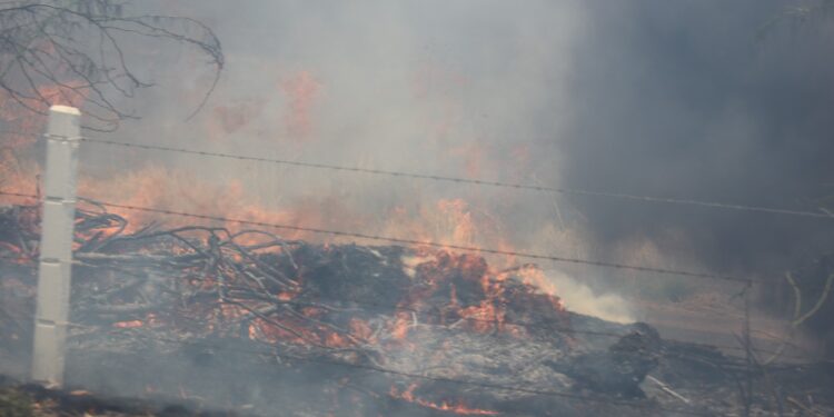 Toca a ayuntamientos sancionar quema de soca y se trabaja de manera coordinada para lograrlo: SEBIDES