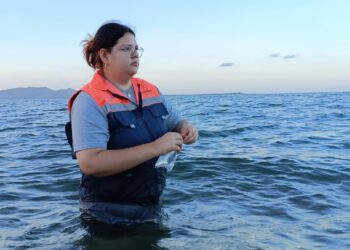 Todas las playas de Sinaloa son aptas para bañarse: COFEPRIS